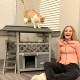 Aivituvin Feral Cat House Outdoor Indoor Kitty Houses with Escape Door for Cats Insulated, Weatherproof Roof Aivituvin