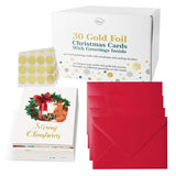 Dessie 30 Unique Christmas Cards with Envelopes 4x6 and Gold Sealing Stickers. Short Greetings Inside. Boxed Christmas Cards and Happy Holiday Greeting Cards Set. Dessie