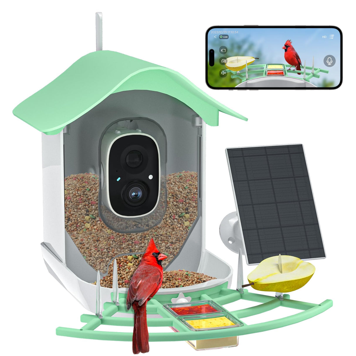 Bird Feeder with Camera, Smart AI Bird Breed Recognition, 1080P Bird Watching Camera with Solar Panel, Auto Capture Bird Videos & Instant Notifications, Ideal Gift for Bird Lover Green DOCOON