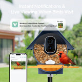 Birdkiss Smart Solar Feeder Camera: AI Identify WiFi Camera with Auto Bird Video Capture & Instant Notifications, Ideal Bird Lover Gift Birdkiss