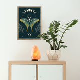 4 Sets Moth and Moon Diamond Painting Moon Moth DIY 5D Diamond Painting Kits Art with Accessories and Tools for Adults Beginners Craft Home Wall Decor, 4 Styles Fumete