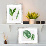 SESEAT 11x14 Picture Frame, Display Pictures 8x10 With mat or 11x14 Prints Without Mat, Wall Mounting, Distressed White, 6PCS SESEAT