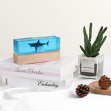 Large Resin Molds, Rectangle Silicone Molds for Epoxy Resin, 5 PCS Cuboid Resin Moulds with Wooden Support, Deep Casting Molds for Preserving Flowers, Insect Specimens, DIY Gifts, Furniture Decoration KISREL