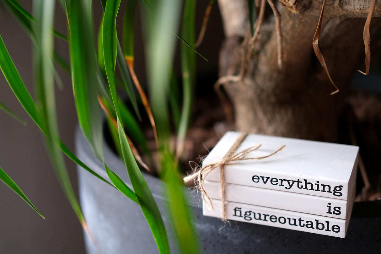 RUKEJUNE Farmhouse Motivational Wooden Office Desk Decor, Cute Decorative Books for Shelf Decoration, Inspirational Gifts for Women Men - Everything is Figureoutable Sign RUKEJUNE