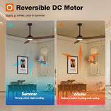 addlon Ceiling Fans with Lights, 72 inch Indoor/Outdoor Ceiling Fan with Remote Control, Reversible, 3 Wood Blades, 6 Speeds, 3CCT Dimmable, Noiseless, Large Ceiling Fan for Patio, gazebo, Farmhouse addlon