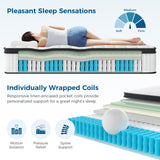 Inofia Twin Size Mattress, 14 inch Hybrid Twin Mattress in A Box,Ultra Comfort Memory Foam Layer, Medium Feels, Cooling Breathable Cover,Low Motion Transfer Supports for Any Sleep Position Inofia