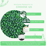 Decwin 12 Pieces 20” X 20” Artificial Hedge Boxwood Panels Boxwood Hedge Grass Wall Green Greenery Plant Mats UV Stable for Indoor Outdoor Decor Garden Fence Decwin