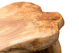 TJ Global Natural Edge Cedar Wood Tree Stump Indoor/Outdoor Stool, Garden Bench, Night Stand, End Table, Plant Stand - L20 x W11 x H17 TJ Global