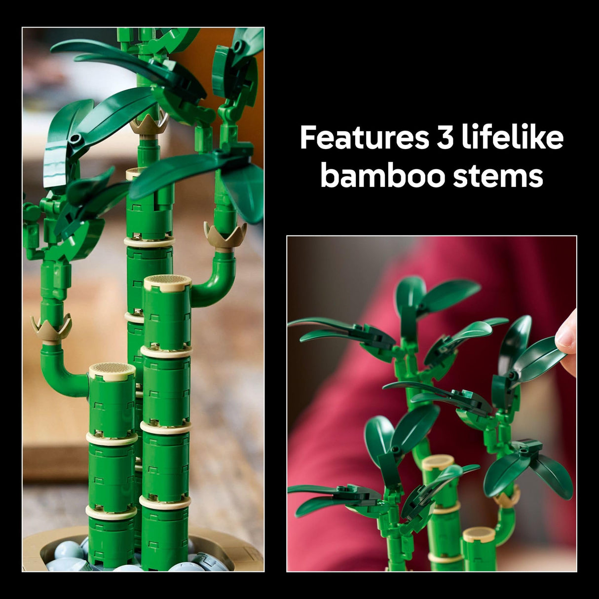 LEGO Botanicals Lucky Bamboo Building Set - Artificial Plant for Indoor Home Décor, Adults Ages 18+ - Fake Plant Decoration for Table, Desk, Office - Unique Gift for Her & Him - 10344 LEGO