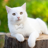 16 Pieces Sublimation Blank Dog Tag Aluminum Dog Tag Bone-Shaped Sublimation Blank Dog Tag Double Sided Dog Tag with Key Ring for Dogs and Cats Pet ID Tag Hotop