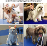 EPIKOIB Pet Dog Grooming Table, Foldable Stainless Steel Pet Drying Grooming Table Up to 330lbs, Professional Bathing Desk for Dogs at Home with Adjustable Overhead Arms, Noose, Mesh Tray, 36''/Blue EPIKOIB