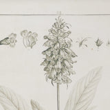 Deco 79 Wood Leaf Framed Wall Art with Brown Frame, 2 Count(Pack of 1) 17"W, 22"H, Light Brown Deco 79