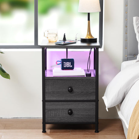 AMHANCIBLE Night Stand Set 2, LED Nightstands for Bedroom Set of 2 with Charging Station, End Table with USB Port and Outlet, Side Table with 2 Storage Drawers for Living Room, Dark Grey HET052LDG AMHANCIBLE