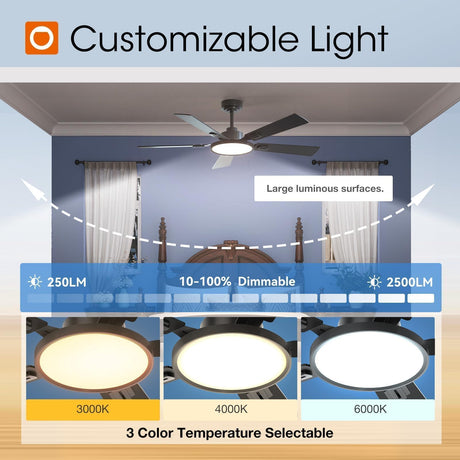addlon Ceiling Fans with Lights, 52 inch Black Ceiling fan with Light and Remote Control, Reversible, 3CCT, Dimmable, Noiseless, Ceiling Fan for Bedroom, Farmhouse, living room, Indoor/Outdoor Use addlon