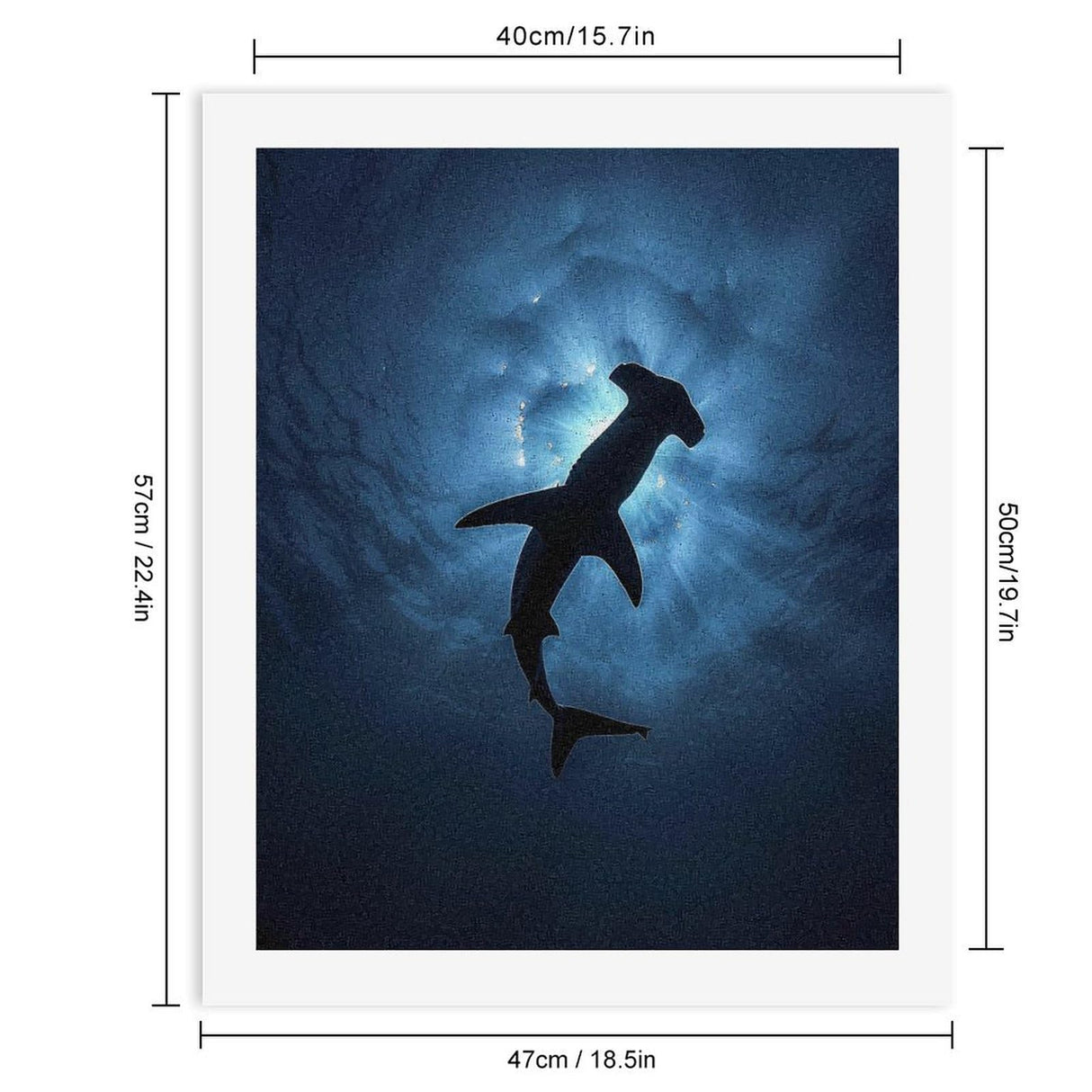 Hammerhead Shark Paint by Numbers Kits for Adults Beginners Canvas Painting for Home Wall Decor 50x40cm Generic