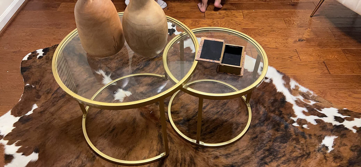 Round Nesting Coffee Table Gold Set of 2 for Living Room, Modern Side Tables with Sturdy Metal Frame and Tempered Glass.Minimalist End Table,Cocktail Table for Dining Room,Home Decor MAIKAILUN