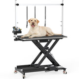 DWVO 49'' Electric Dog Grooming Table, Heavy Duty Adjustable Pet Grooming Table w/Leveling Wheels, Grooming Arm, Anti-Slip Top & Tool Organizer, Professional Dog Grooming Station (Black, 49inch) DWVO