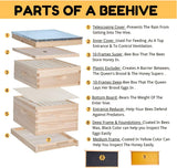 POLLIBEE Beehive 10-Frame Bee Hives and Supplies Starter Kit, Honey Bee Hives Includes 1 Deep Bee Box 1 Medium Bee Hive Box with Beehive Frames and Beeswax Coated Foundation Sheet POLLIBEE