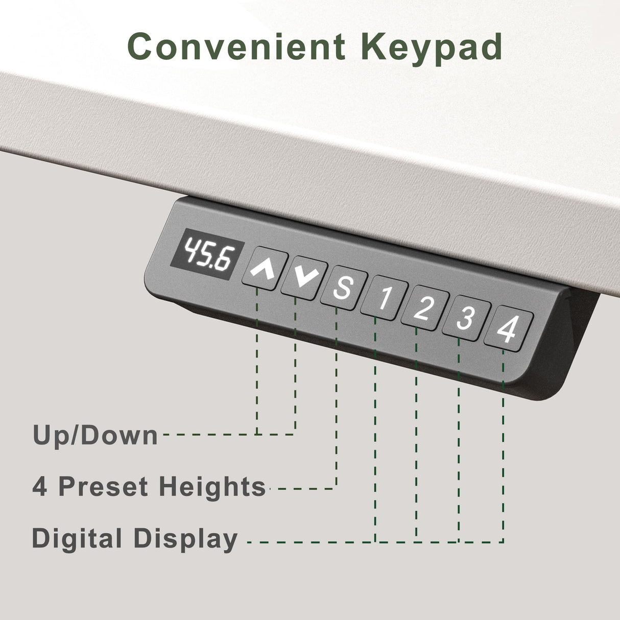 WALKINGDESK 48x24 Inches Whole Piece Electric Standing Desk, Seamless One Piece Height Adjustable Stand up Desk for Home Office, Ergonomic Sit to Stand Desk, Computer Workstation, White WALKINGDESK