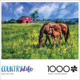 Buffalo Games - Carla D'aguanno - Near and Dear - 1000 Piece Jigsaw Puzzle for Adults -Challenging Puzzle Perfect for Game Nights - Finished Size is 26.75 x 19.75 Buffalo Games