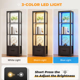 BROTTAR Display Shelf with 3 Color Light, Bookshelf with Drawer, Dimmable LED Floor Lamp with Shelves, Display Case, Display Standing Shelf Unit for Bedroom, Living Room, Black BROTTAR