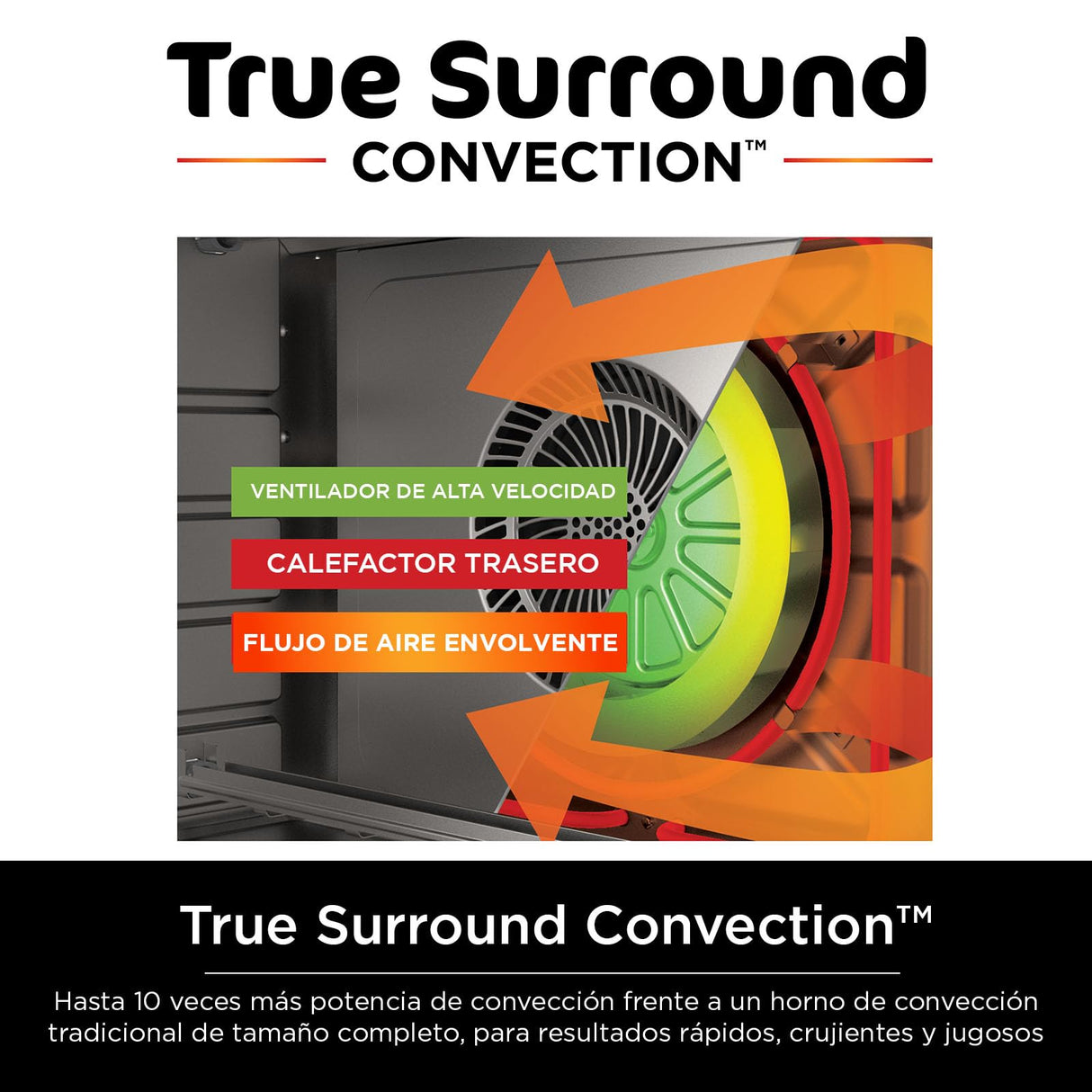 Ninja DT201 Foodi 10-in-1 XL Pro Air Fry Digital Countertop Convection Toaster Oven with Dehydrate and Reheat, 1800 Watts, Stainless Steel Finish, Silver Ninja