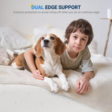 Avenco 6 Inch Full Size Mattress, Memory Foam Full Mattress in a Box for Comfort Sleep & Pressure Relief, CertiPUR-US Certified Medium Firm Full Mattresses Avenco