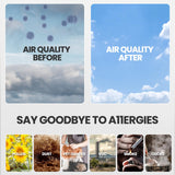 HPA300 True HEPA Filter Replacement Compatible with Honeywell Air Purifier HPA300 Series, HPA300, HPA304, HPA8350, HPA300VP, HPA3300b, HPA5300 isinlive