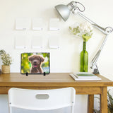 Nicunom 4 Pack Sublimation Blank Slate Rock Photo Plaque Frame with Display Stand, Personalized Rectangular Picture Stone Frame, DIY Gift for Easter Father's Day Birthday Wedding, 7.5 x 5.5 In Nicunom