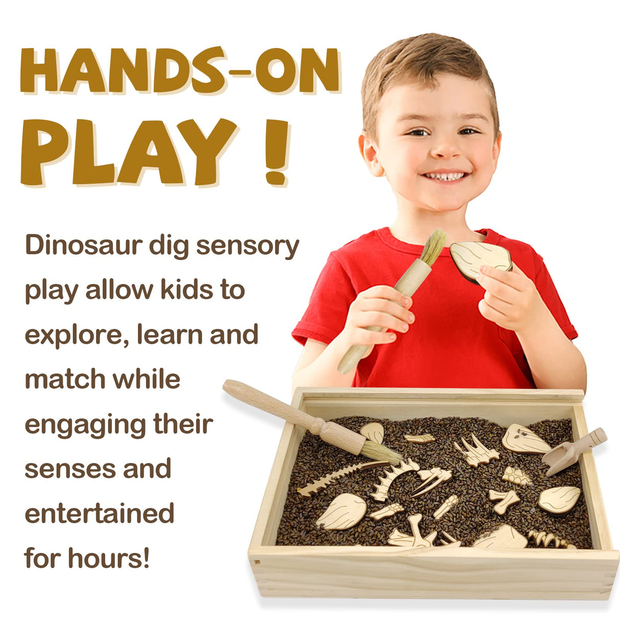 Dinosaur Excavation Archaeology Dig Kit for Kids, Fossil Explore Sensory Bin Toys, Dino Skeletons Bones Puzzle Game, Archaeology Science STEM Toys for Boys and Girls (Stegosaurus) Xylolin