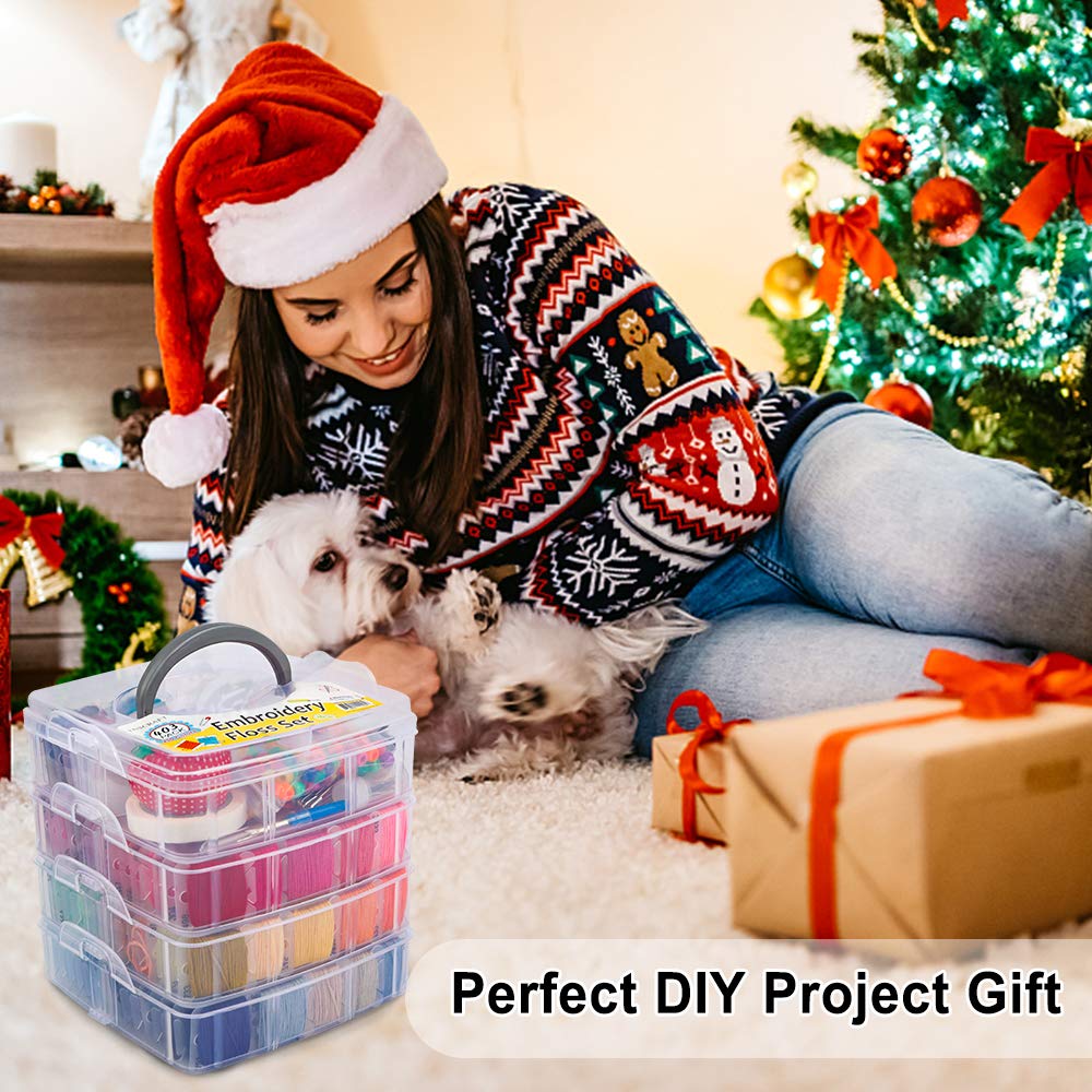 Inscraft 403 Pack Embroidery Floss Set, 250 Colors Cross Stitch Friendship Bracelet Thread with 153 Pcs Cross Stitch Tool, 4-Tier Transparent Box for Storage INSCRAFT