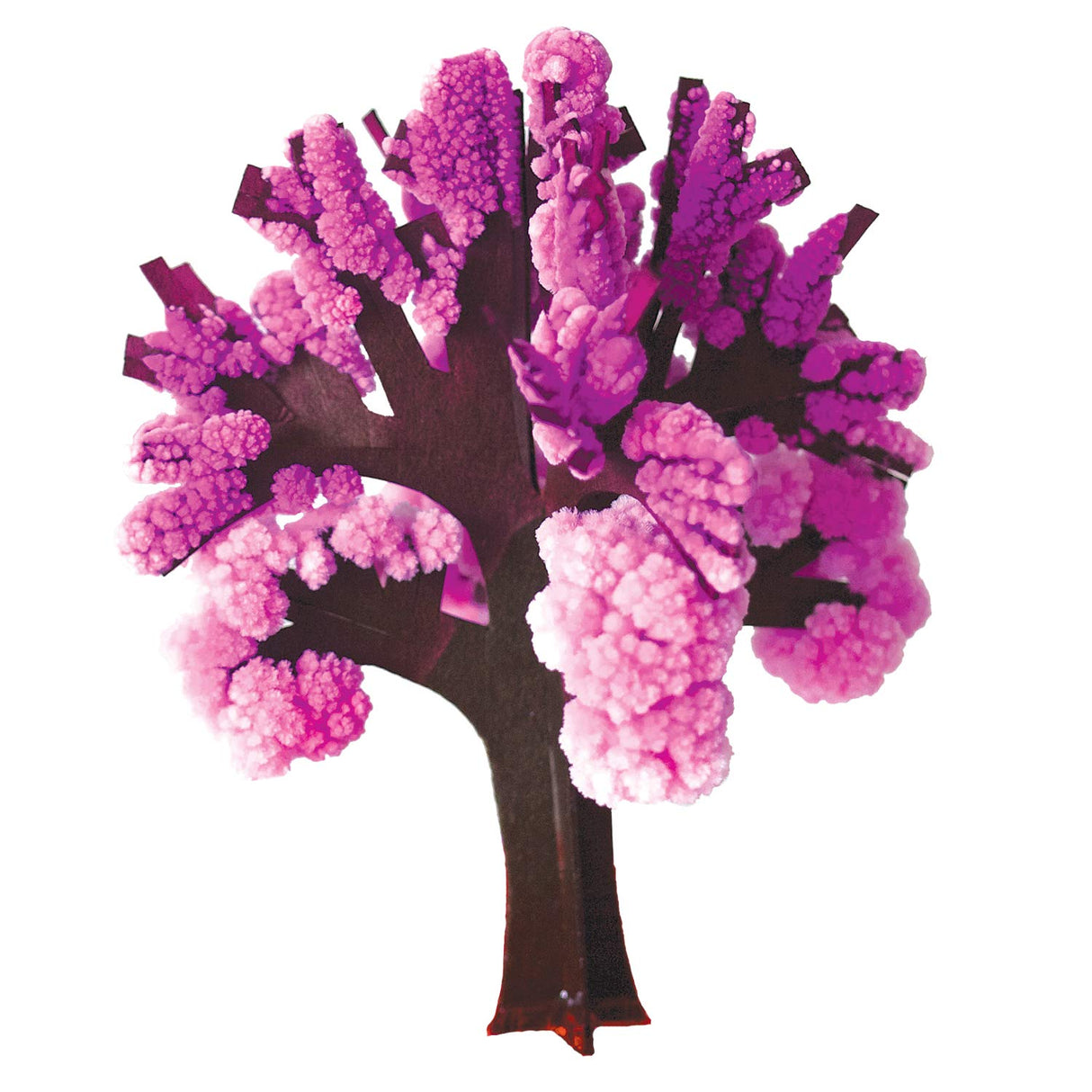 Copernicus Toys Crystal Growing Cherry Tree | Official Terraformer kit | Grows in Hours | Facts and Instructions Included Copernicus Toys
