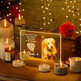 Bemaystar Personalized Pet Memorial Gifts Dog Memorial Gifts for Loss of Dog Pet Loss Gifts in Memory of Dog Night Lights Custom Dog Memorial Plaque Cat Memorial Photo Frame Pet Sympathy Gifts Bemaystar