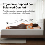 Novilla 12 Inch Mattress Queen Size, Queen Mattresses in a Box with Memory Comfort Foam & High-Density Support Foam for Refreshed Sleep & Pressure Relief with Edge Support Medium Firm Novilla