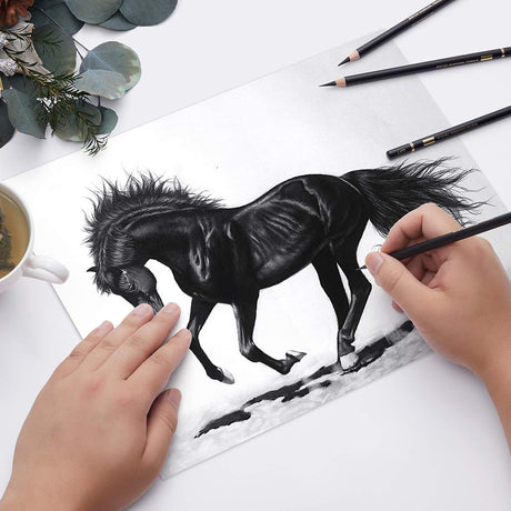 MARKART Professional Charcoal Pencils Drawing Set - 10 Pieces Soft Medium and Hard Charcoal Pencils for Drawing, Sketching, Shading MARKART