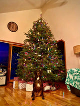 Rocky Mountain Goods Christmas Tree Stand for Live Tree with Water - Up to 8 Foot Tree - 5 Secure Eye Bolts - Steel Spike for Stability - Easy Watering for 2 Gallons - Install Real Tree in Minutes Rocky Mountain Goods