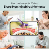 NETVUE Birdfy Hummee - Smart Hummingbird Feeder with Camera, Auto Capture Bird Videos & Birdwatching Up-Close, 2 in 1 Feeders Attract More NETVUE