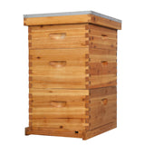 VINGLI 10-Frame Bee Hive, Wax Coated Beehive Starter Kit with Frames & Beeswax Coated Foundation Sheets (3 Layer) VINGLI