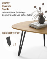 Manora Modern Mid Century Coffee Table, Oval Triangle Wood Center Table with Sturdy Metal Legs, Stylish Living Room Accent Table for Small Spaces Manora