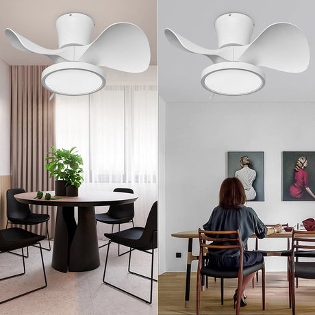 ocioc Quiet Ceiling Fan with LED Light 22 inch Large Air Volume Remote Control for Kitchen Bedroom Dining Room Patio ocioc