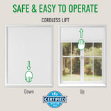 CALYX INTERIORS Blackout Cellular Honeycomb Shade, Cordless, 3/8" Single Cell, 34" W x 60" H, Blackout White Calyx Interiors