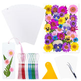 Cardstock Blank Bookmarks Set, 12 Pcs DIY White Craft Bookmarks for Pressed Flowers, Dried Flower Bookmark Making Kit with 43 Pcs Pressed Flowers, 12 Pcs Tassels, DIY Bookmarks for Dried Flowers HEOCAKR