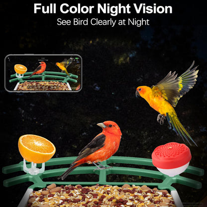 Smart Bird Feeder with Camera, 4MP Bird Feeder Camera Wireless Outdoor, APP Control, Batteries & Solar Powered, Color Night Vision, 10000+ AI Identify Bird Species, Ideal Gift for Bird Lover