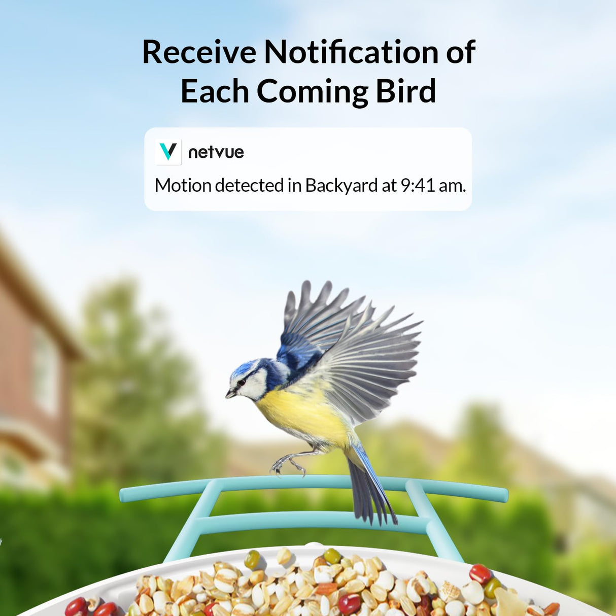 NETVUE Birdfy Lite - Smart Bird Feeder with Camera, Bird Watching Camera, Auto Capture Bird Videos & Motion Detection, Wireless Camera Ideal Gift for NETVUE
