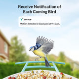 NETVUE Birdfy Lite - Smart Bird Feeder with Camera, Bird Watching Camera, Auto Capture Bird Videos & Motion Detection, Wireless Camera Ideal Gift for NETVUE