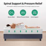 Pay Lesshere 12 Inch Queen Green Tea Mattress/Breathable Mattress for Cool Sleep & Pressure Relief/Medium Firm Mattresses/CertiPUR-US Certified/Bed-in-a-Box/Pressure Relieving （12 inch, Queen） PayLessHere