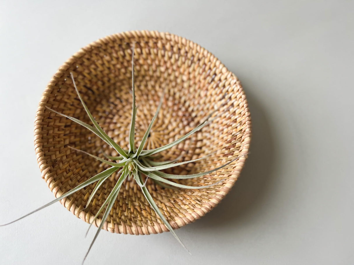 Solange & Frances Bread Basket for Table, Natural Rattan Fruit Bowl for Kitchen, Small Bread Bowl, Rattan Basket, Mothers Day Gifts for mom, Kitchen Table Decor, Bread Proofing Basket Solange & Frances