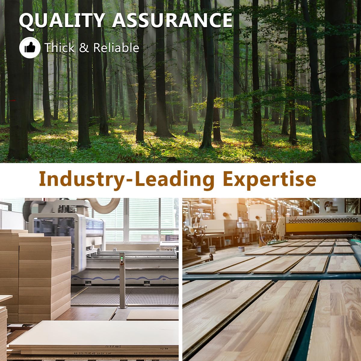 Rejeke 79" Dining Table Set for 10,Large Rectangular Kitchen Table Set for 10 with Cushioned Chairs,Modern Mid-Century Wood Dining Room Table Set for 10,Ideal for Dining & Gatherings (Walnut) Rejeke