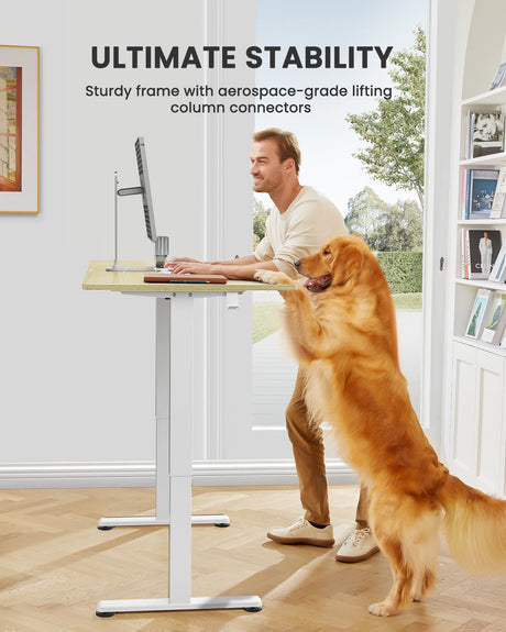 ErGear Height Adjustable Electric Standing Desk, 63x 28 Inches Sit Stand up Desk, Large Memory Computer Home Office Desk (Natural) ErGear