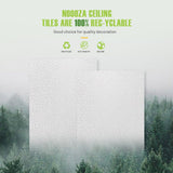 2ft x 4ft Drop Ceiling Tiles，Printed Pro Ceiling Tiles 24 x 48in. Waterproof, Washable and Fire-Rated - Reusable - High-Grade PVC to Prevent Breakage-Package of 10 Tiles Noooza